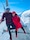 Swiss Paris Austria Germany feedback NaN