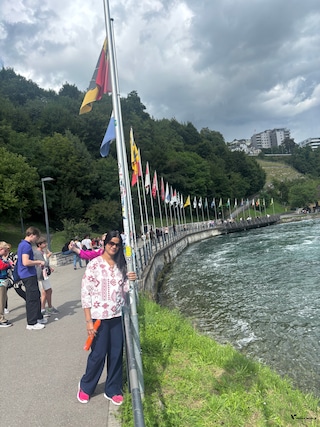 Swiss Paris Austria Germany feedback NaN