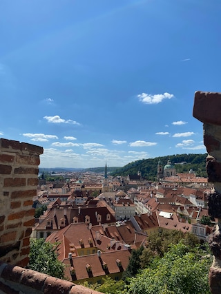 Vienna Prague Budapest Bratislava feedback 11