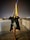 London Paris Swiss Italy with Disneyland feedback NaN