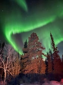 Scandinavia Northern Lights with Icebreaker Cruise Scandinavia Northern Lights with Icebreaker Cruise feedback 2
