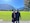 Swiss Paris Austria feedback NaN