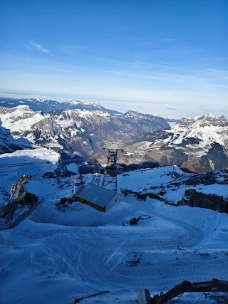 Women's Special Swiss Paris Austria Germany feedback 3