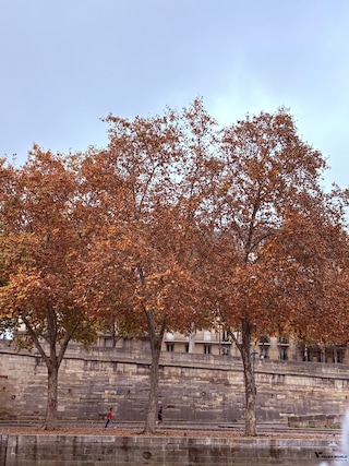 Women's Special Swiss Paris Austria Germany Women's Special Swiss Paris Austria Germany feedback 3