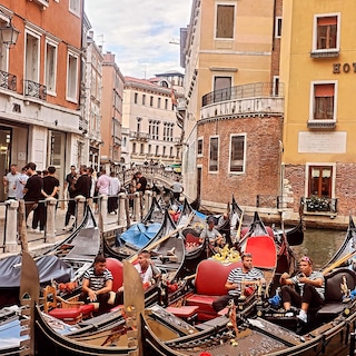 European Delight feedback 7