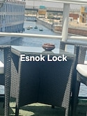 Best of Egypt Best of Egypt feedback 5