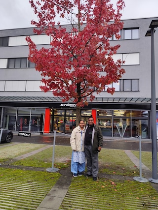 Seniors' Special Swiss Paris Austria Germany feedback 4