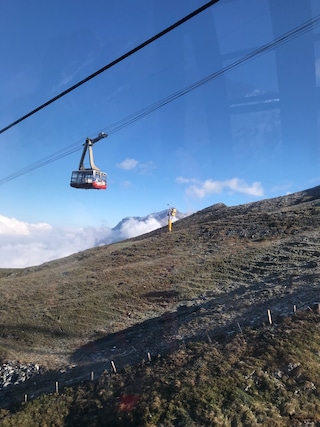 Seniors' Special Swiss Paris Austria Germany Seniors' Special Swiss Paris Austria Germany feedback 1