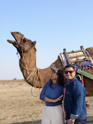 Rann Utsav Gujarat feedback 3