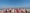 Rann Utsav Gujarat feedback NaN