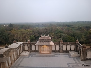 Rann Utsav Gujarat feedback 9