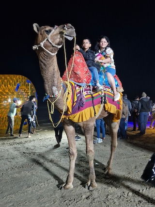 Rann Utsav Gujarat feedback 5