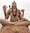 Dwarka Somnath feedback NaN