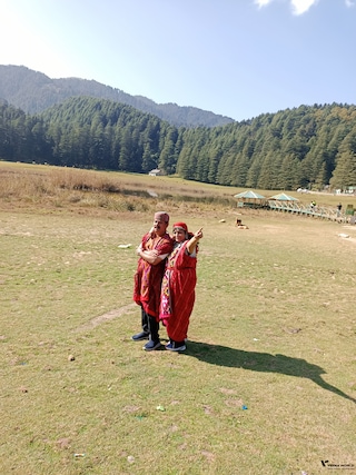 Dalhousie Dharamshala Amritsar feedback NaN