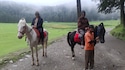 Dalhousie Dharamshala Amritsar Dalhousie Dharamshala Amritsar feedback 8