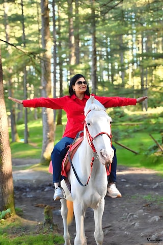 Dalhousie Dharamshala Amritsar - Pune Dalhousie Dharamshala Amritsar - Pune feedback 2