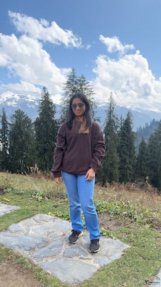 Shimla Manali Shimla Manali feedback 7