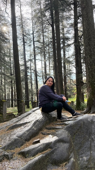 Shimla Manali Shimla Manali feedback 9