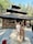 Honeymoon Special Shimla Manali feedback NaN