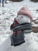 Shimla Manali - Pune feedback 3