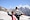 Shimla Manali - Pune feedback NaN
