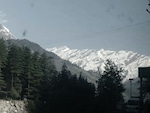 Shimla Manali - Pune feedback NaN