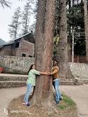 Shimla Manali feedback 6