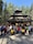 Shimla Manali feedback NaN