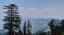 Shimla Manali feedback 3