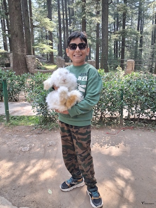 Women's Special with Kids Shimla Manali Women's Special with Kids Shimla Manali feedback 11
