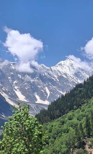 Women's Special with Kids Shimla Manali Women's Special with Kids Shimla Manali feedback 8