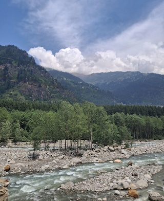 Women's Special with Kids Shimla Manali Women's Special with Kids Shimla Manali feedback 13