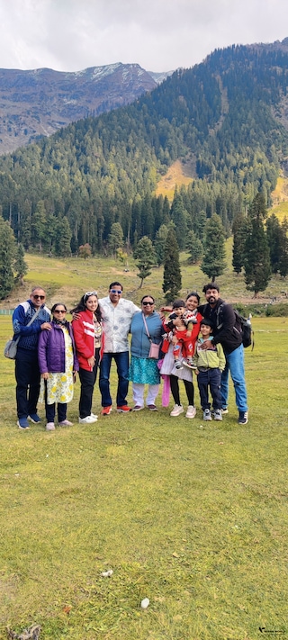 Kashmir Escape feedback 2