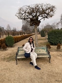 Kashmir Escape feedback 3