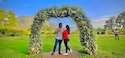 Honeymoon Special Kashmir Honeymoon Special Kashmir feedback 2