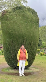 Best of Kashmir feedback NaN