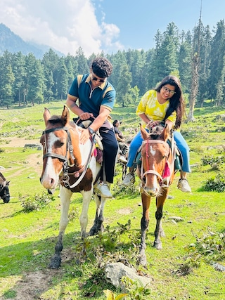 Kashmir Dhamaal Kashmir Dhamaal feedback 5