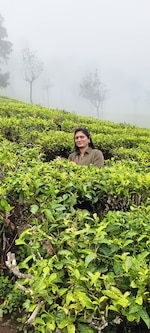 Ooty Coorg Mysore Bengaluru feedback 2