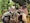 Highlights of Kerala Highlights of Kerala feedback NaN