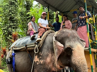 Highlights of Kerala feedback 3
