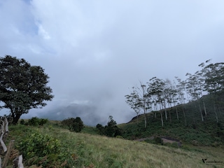 Highlights of Kerala Highlights of Kerala feedback 2