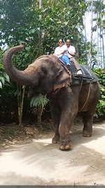 Wonders of Kerala feedback NaN