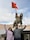 Best of Ladakh Best of Ladakh feedback NaN