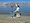 Best of Ladakh feedback NaN