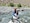 Best of Ladakh feedback NaN