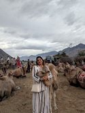 Best of Ladakh Best of Ladakh feedback 2