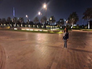Highlights of Dubai Abu Dhabi feedback 4