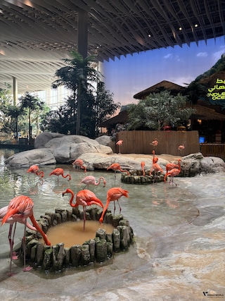 Highlights of Dubai Abu Dhabi feedback 2