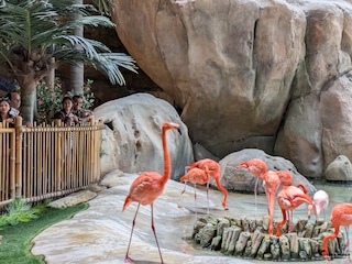 Highlights of Dubai Abu Dhabi Highlights of Dubai Abu Dhabi feedback 5