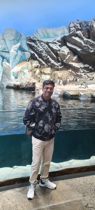 Highlights of Dubai Abu Dhabi Highlights of Dubai Abu Dhabi feedback 6